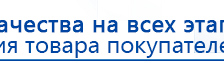 СКЭНАР-1-НТ (исполнение 01 VO) Скэнар Мастер купить в Озеры, Аппараты Скэнар купить в Озеры, Скэнар официальный сайт - denasvertebra.ru